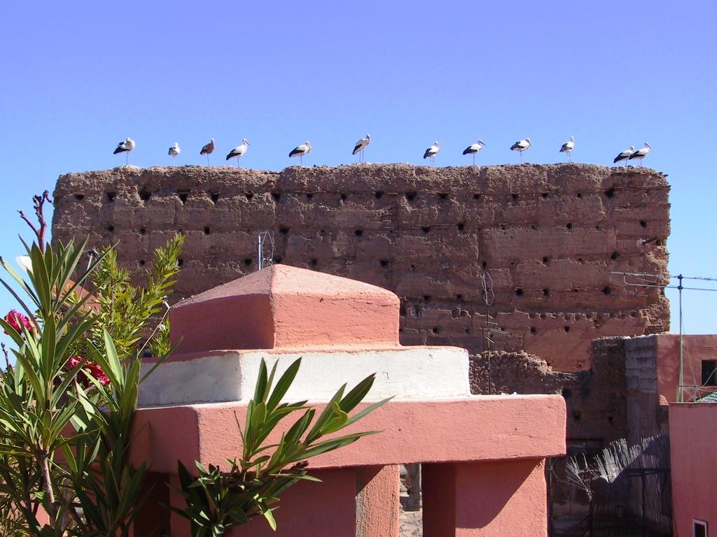 Riad El Farah Kasbah 马拉喀什 外观 照片